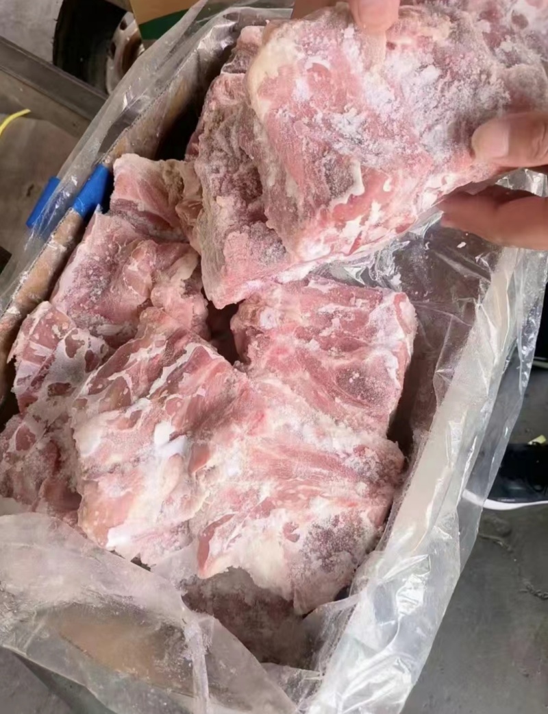 国产满肉颈骨