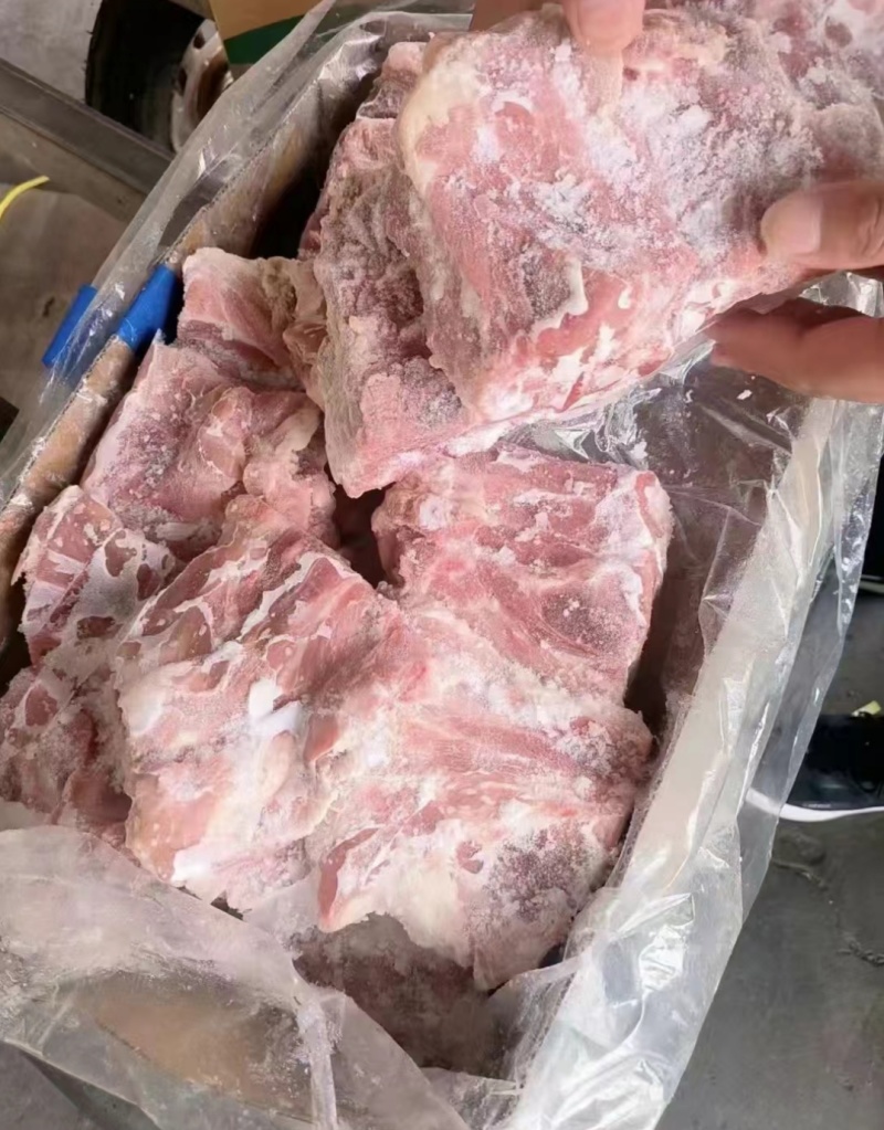 国产满肉颈骨