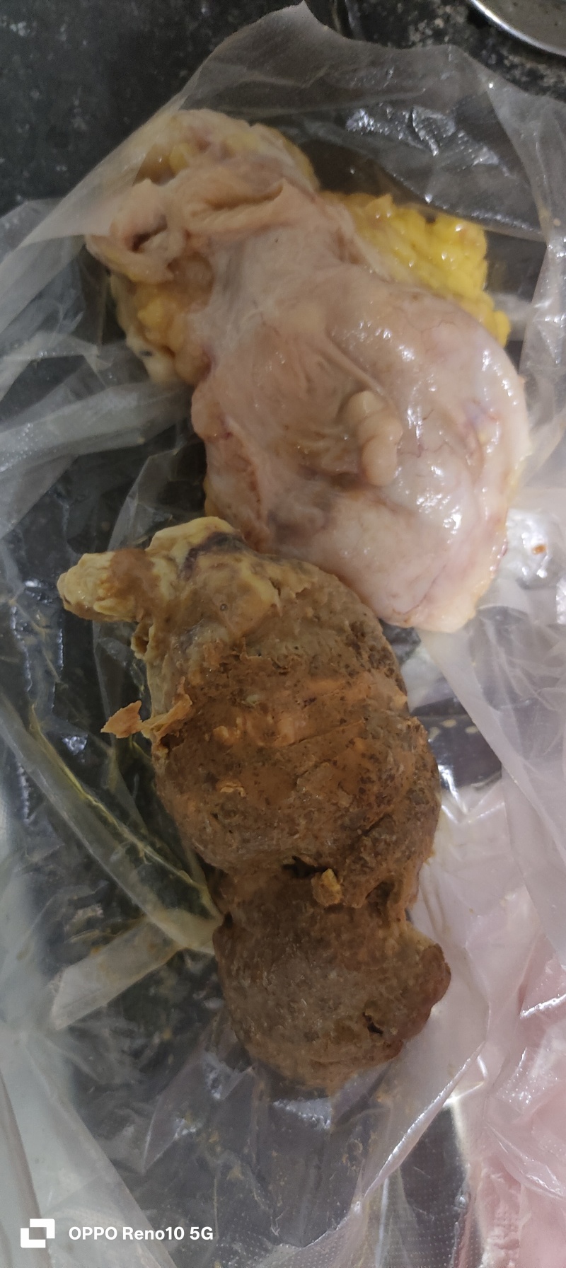 狮头鹅鹅宝