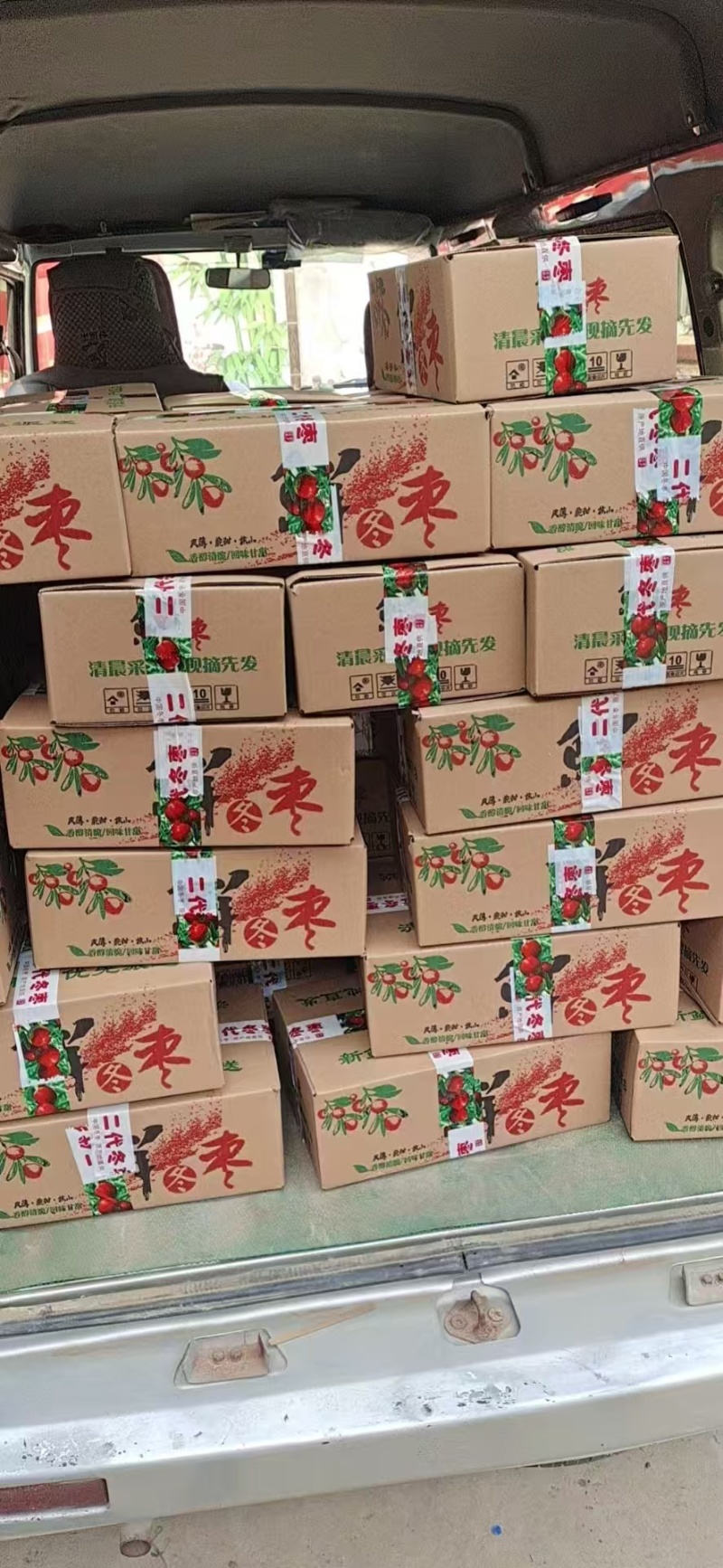 【推荐】山东沾化冬枣，产地直发品质保证，对接电商市场社区