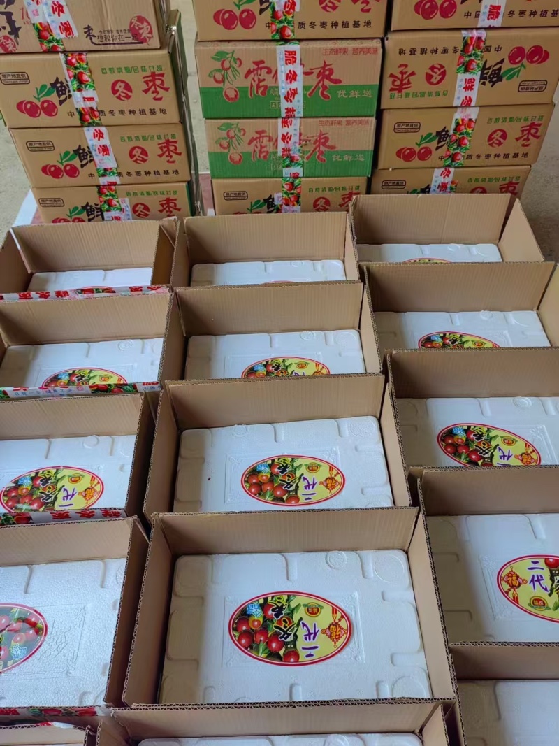 【推荐】山东沾化冬枣，产地直发品质保证，对接电商市场社区
