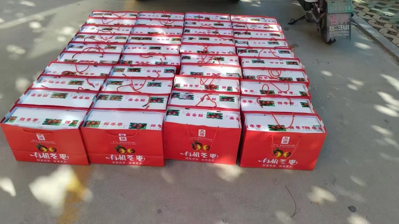 【推荐】山东沾化冬枣，产地直发品质保证，对接电商市场社区