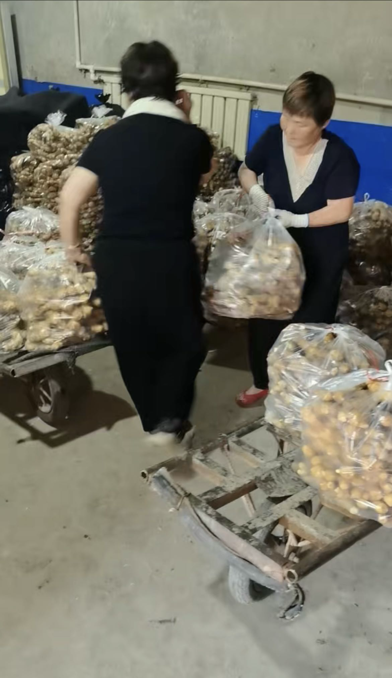 批发原产地大黄姜