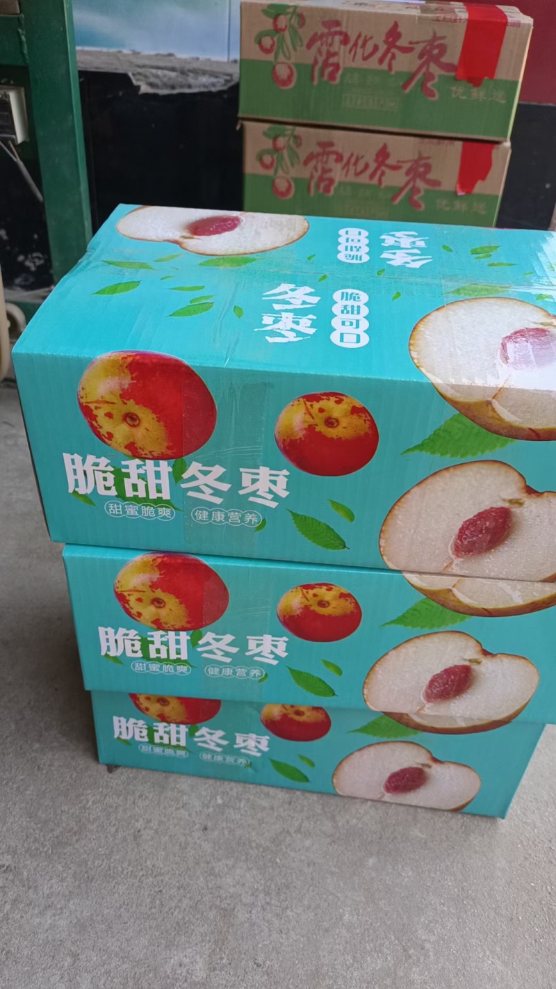 正宗沾化冬枣原产地直发，**甜脆，