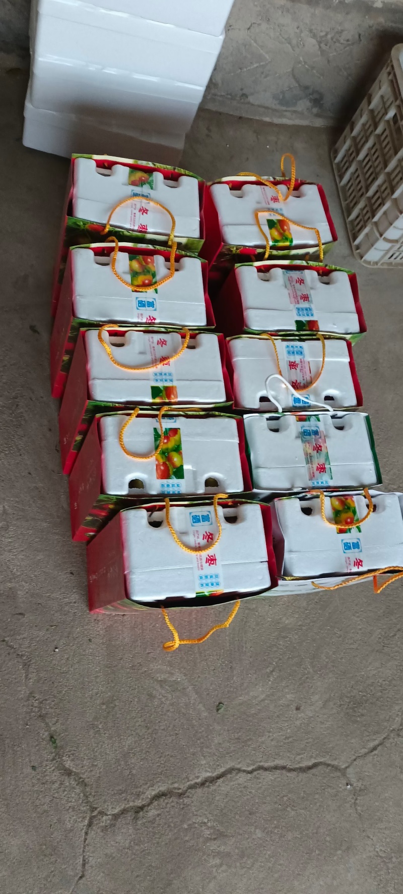 正宗沾化冬枣原产地直发，**甜脆，
