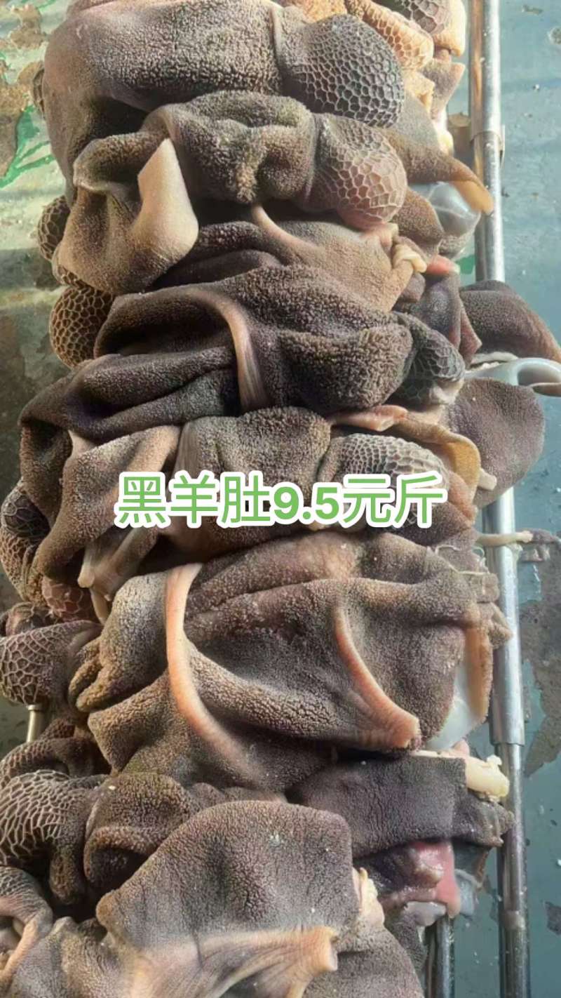 黑羊肚