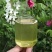 土蜂蜜树洞蜜