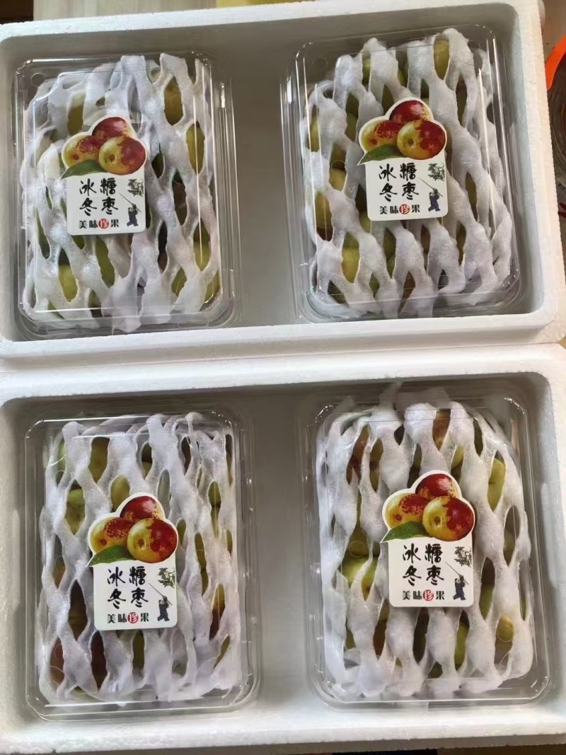 【优选】沾化冬枣，山东滨州沾化区产地直发，诚信为本，代发