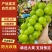 【热卖】精品阳光玫瑰，大量供应，质量好，糖度高，产地直供