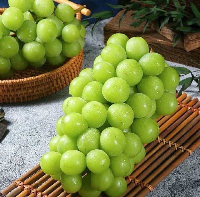 【热卖】精品阳光玫瑰，大量供应，质量好，糖度高，产地直供