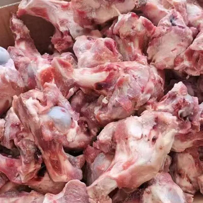 0602前腿骨