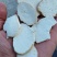 天花粉，江苏无硫烘干天花粉，多规格，量大从优