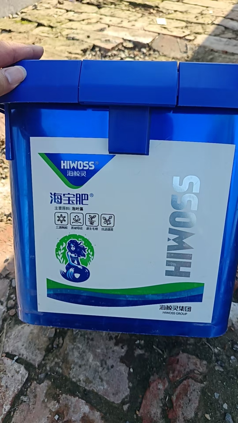 海鲸灵海宝肥酶解海藻酸有机肥果蔬草莓葡萄冲施滴灌膨果增甜