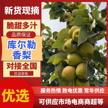 新疆香梨库尔勒香梨对接电商平台批发市场量大欢迎☎️