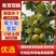 新疆香梨库尔勒香梨对接电商平台批发市场量大欢迎☎️