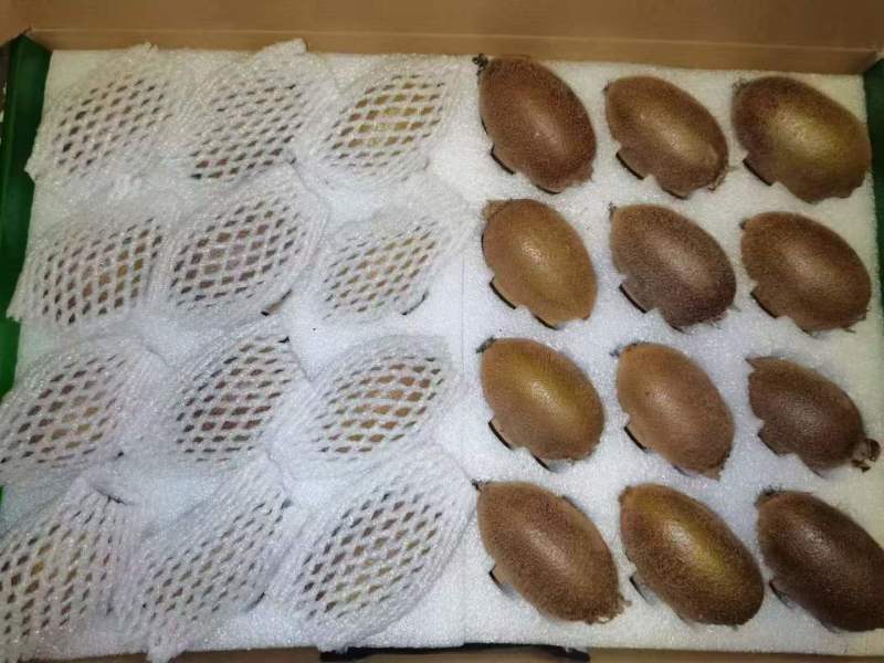 陕西翠香猕猴桃自家园子一手货源承接加工电商社区团购直播带货