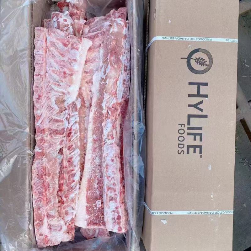 126多肉龙骨