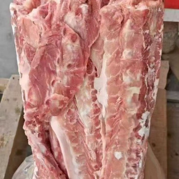 160多肉背骨