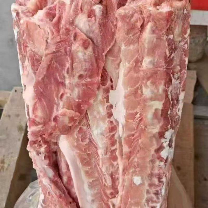 160多肉背骨