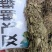 双飞蝴蝶（中草药材）品质保证，欢迎来电咨询