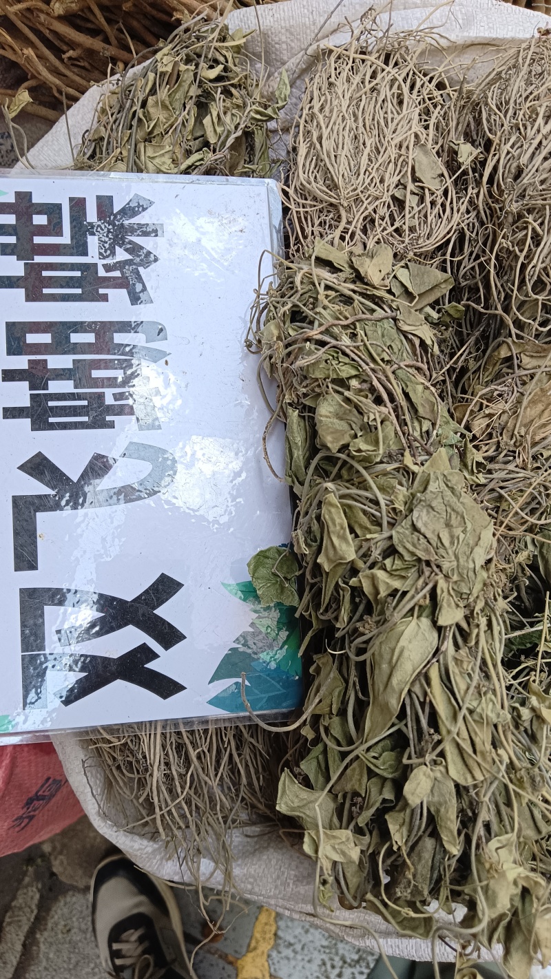 双飞蝴蝶（中草药材）品质保证，欢迎来电咨询
