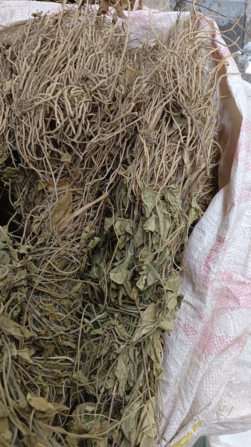 双飞蝴蝶（中草药材）品质保证，欢迎来电咨询