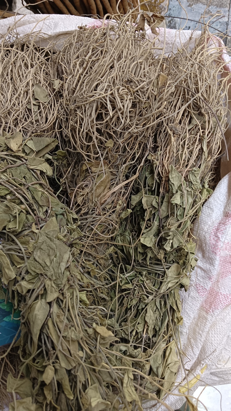双飞蝴蝶（中草药材）品质保证，欢迎来电咨询