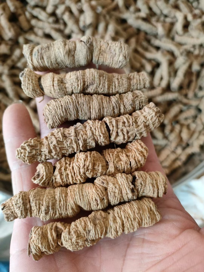 巴戟天，干货鲜货都有质量保证，货源充足。快递包邮。