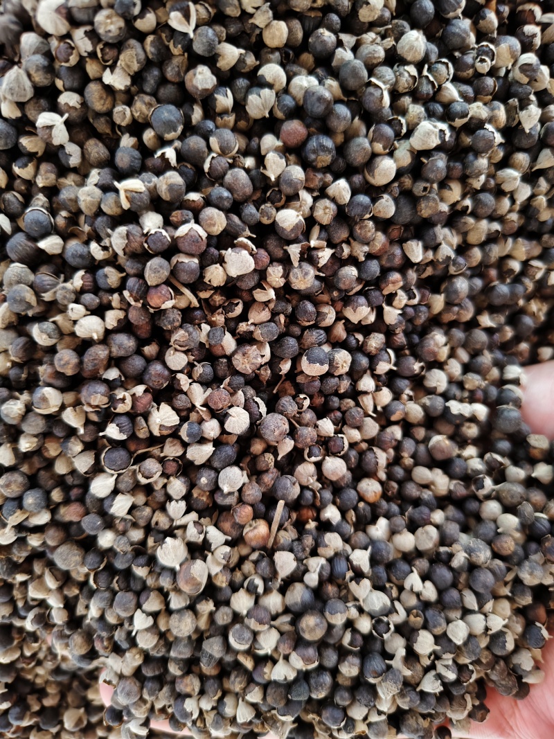蔓荆子批发零售蔓荆子大颗粒新货干净量大从优