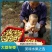 《大荔冬枣》陕西冬枣/产地货源/全国供应电商直播市场