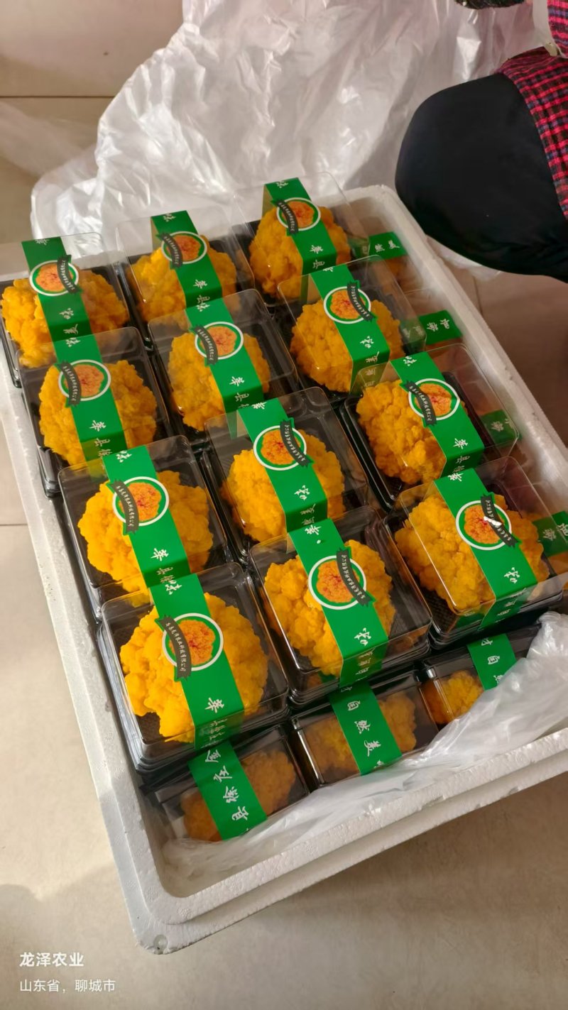 龙泽金耳鲜品鲜采现发品质保证产地直销