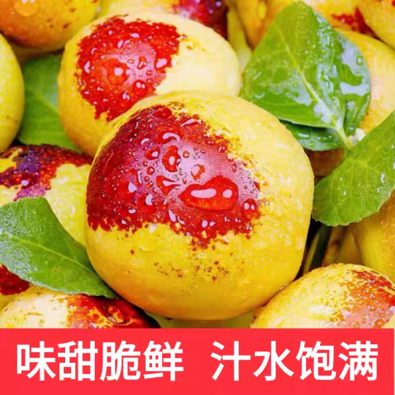 《大荔冬枣》陕西冬枣/产地货源/全国供应电商直播市场