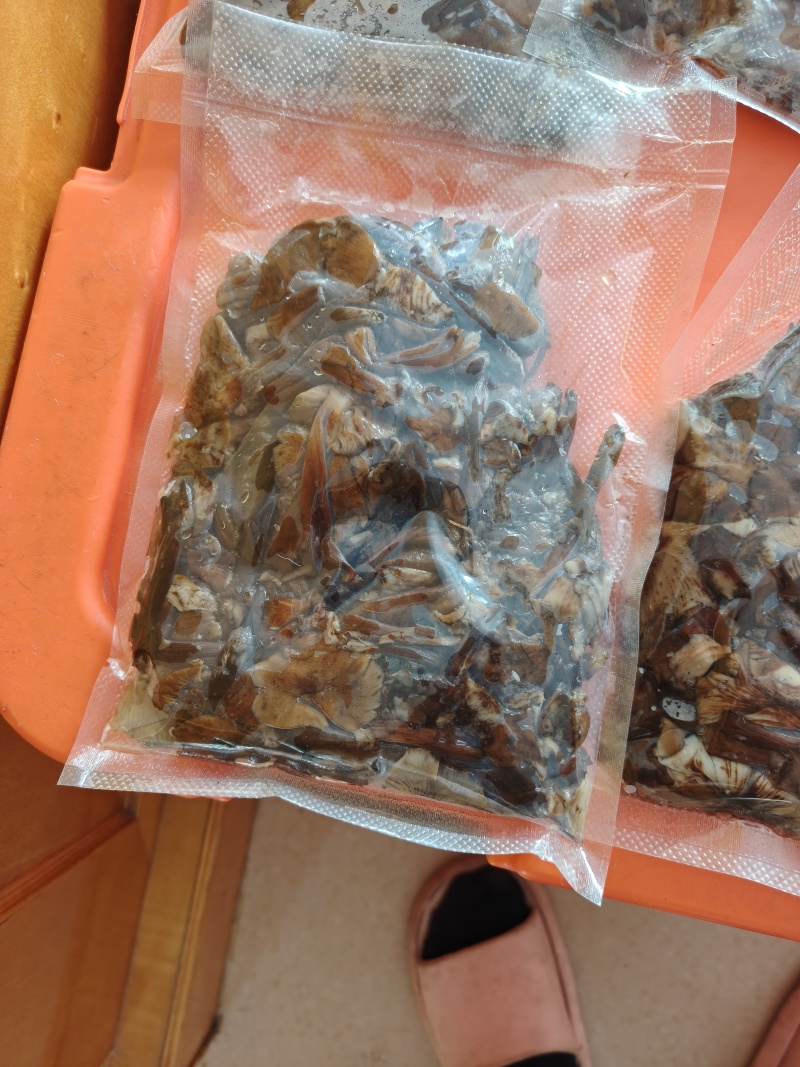 卖野生榛蘑鲜蘑。500g值1kg的一袋儿。