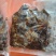 卖野生榛蘑鲜蘑。500g值1kg的一袋儿。