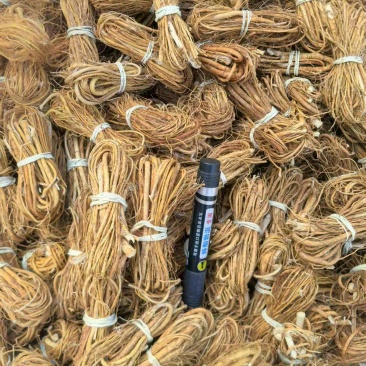 五指毛桃无硫小扎，纯无硫椰奶香，色泽好，量大价优视频看货