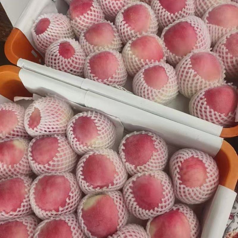 四川红将军苹果，产地直发，保质保量，可对接电商商超，诚信
