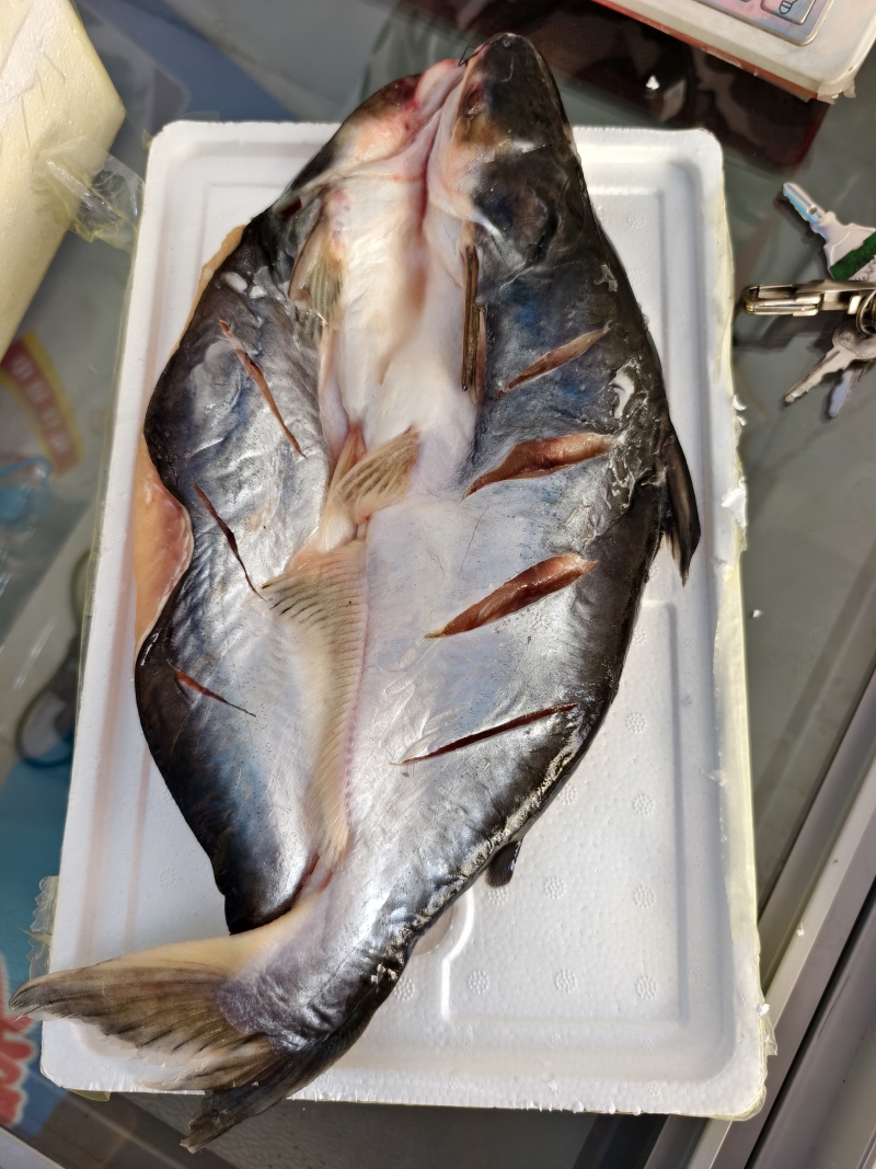 腌制巴沙鱼烤鱼清蒸红烧都行规格齐全