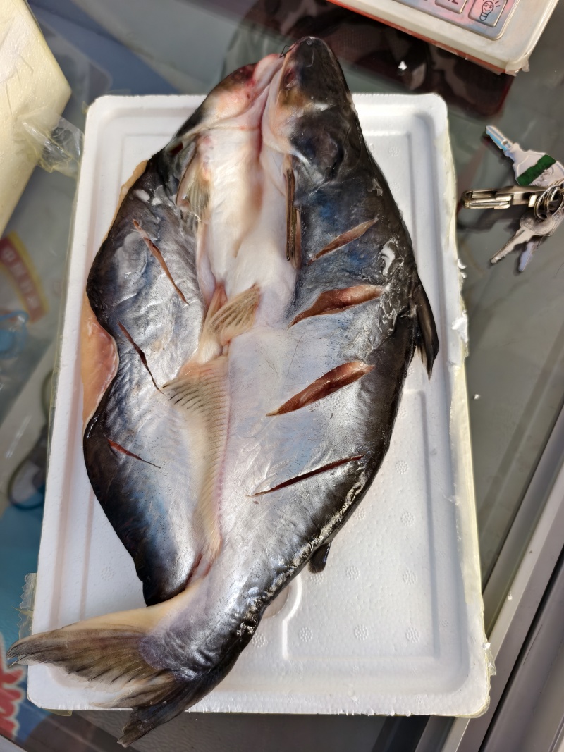 腌制巴沙鱼烤鱼清蒸红烧都行规格齐全