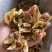 山东烟台黄皮无花果干新鲜出炉大量批发特别好吃