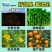 深海鱼蛋白原浆山东寿光发货成熟配方当地大种植户批量使用