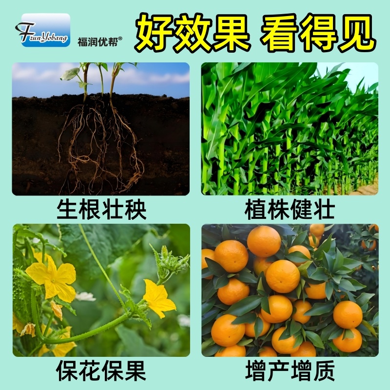 深海鱼蛋白原浆山东寿光发货成熟配方当地大种植户批量使用