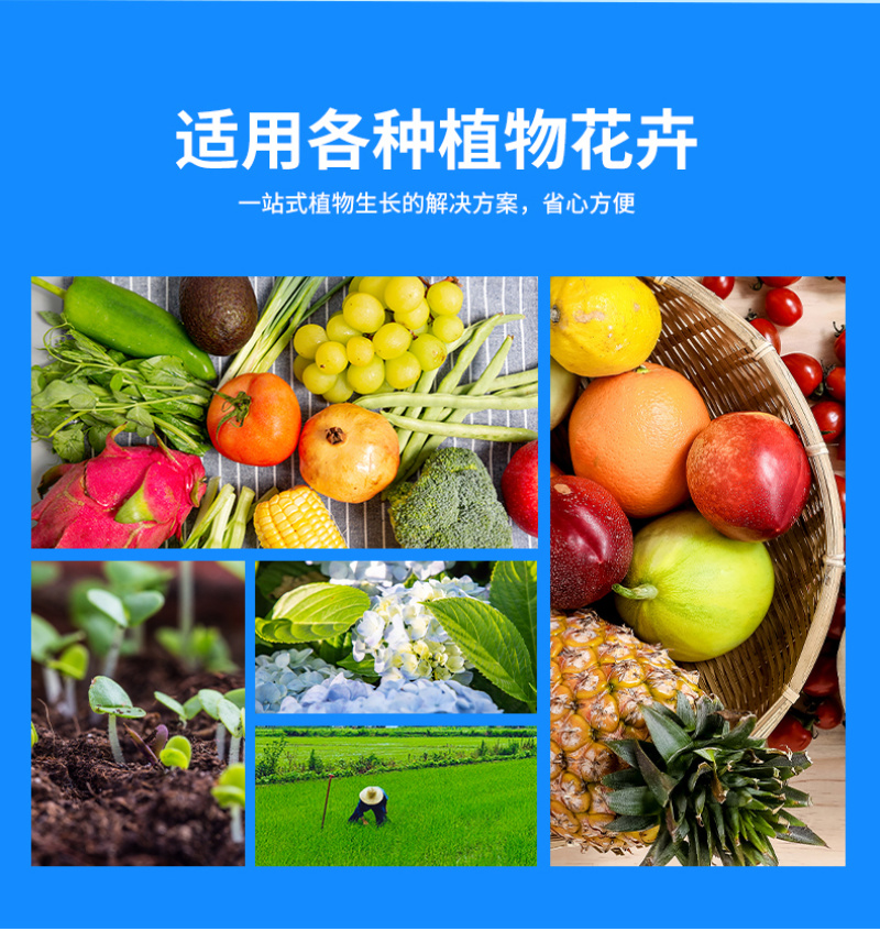 深海鱼蛋白原浆山东寿光发货成熟配方当地大种植户批量使用