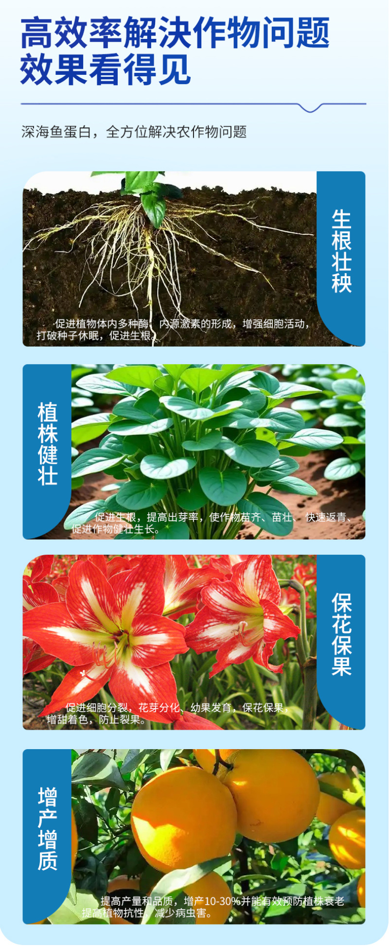 深海鱼蛋白原浆山东寿光发货成熟配方当地大种植户批量使用