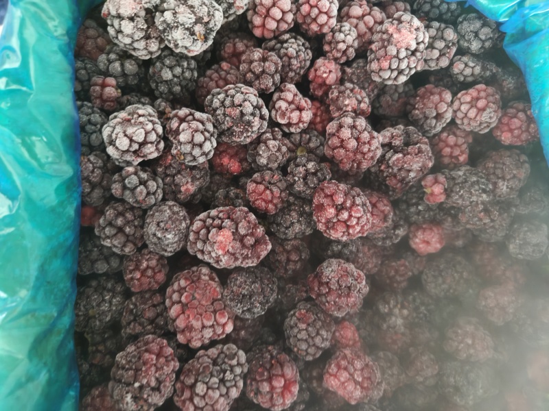 黑莓冻果，小莓