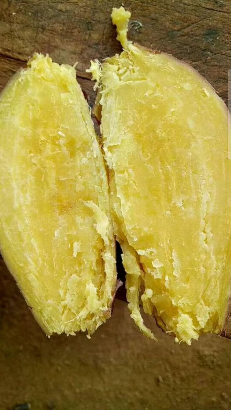 济薯26精品山东板栗红薯大量上市品种规格齐全西瓜红烟薯