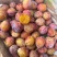 西梅