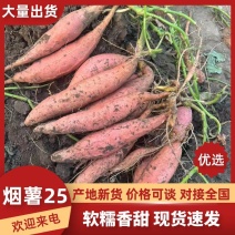 烟薯25可视频看货西瓜红济薯26红薯产地直发