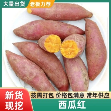 【西瓜红红薯】山东济宁红薯电商货工厂货市场货齐全
