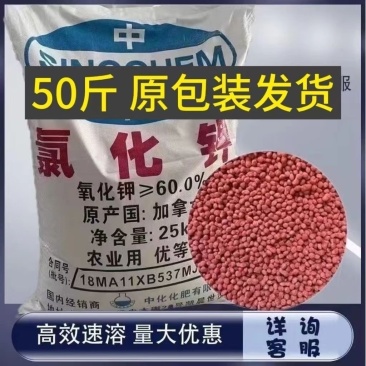 氯化钾通用高效肥料果树蔬菜肥料钾肥农用速溶