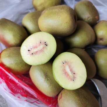 红心果